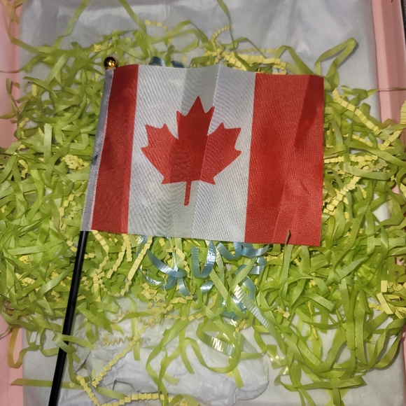 Canada flag soft ball dancing bear - Picture 3 of 3